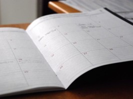 Cronología de un plan de empresa