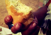 organizaciones sin ánimo de lucro