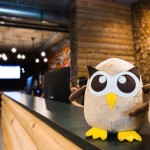 Un búho de peluche se posa sobre un mostrador de recepción de madera, contra una pared de ladrillos difuminados y un techo de estilo industrial, lo que agrega encanto a este fondo con temática de empresas, ideal para exhibir en redes sociales.